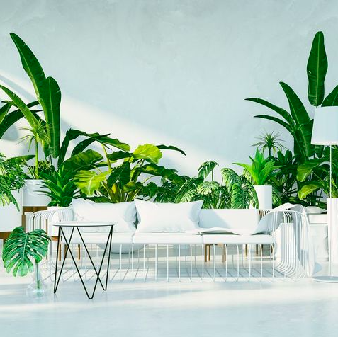 10 Low-Maintenance Indoor Plants That Are Great For Plant Parents