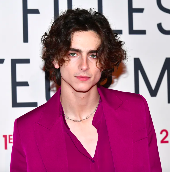 Timothée Chalamet Will Do His Own Singing In Upcoming Bob Dylan Biopic