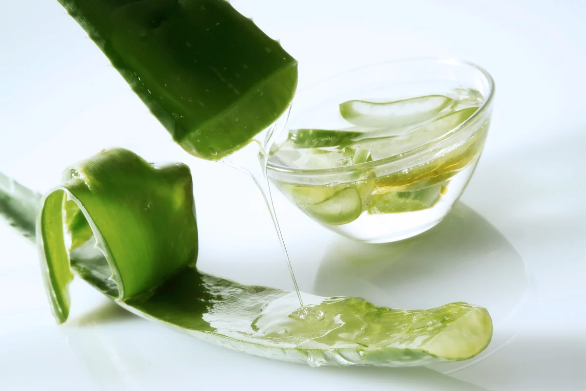 Why You Should Be Drinking Aloe Vera Juice