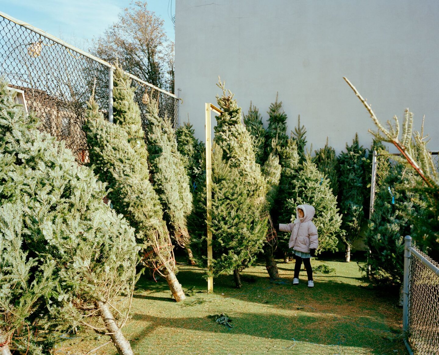 How To Have More Sustainable Holidays